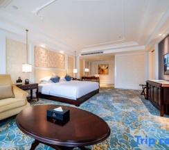 Двухместный номер Premier двуспальная кровать в Phoenix Hotel