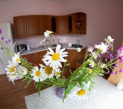 Двухместный Люкс № 90 в Марциальные воды