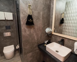 Двухместный номер Standard двуспальная кровать в East Astana Hotel