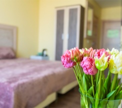 Двухместный номер (Корпус Б) в Оптимист