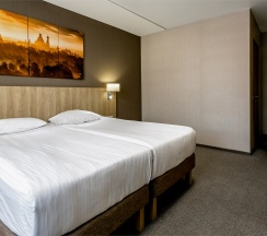 SUPERIOR двухместный (6,7,8 корпус) в Амакс Курорт Новая Истра