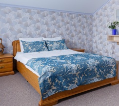 Комната люкс семейная №3 в Моя Провинция