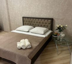 Квартира в Апартаменты на Шилова 29