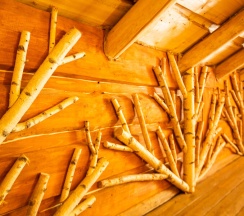 Березовая усадьба в Мазаная Горка