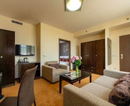 Двухместный полулюкс двуспальная кровать в Regnum Residence