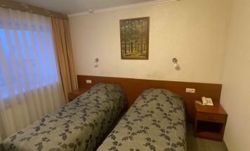 Двухместный номер Эконом в Томск