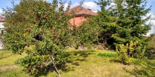 Гвардейск: Апартаменты Апартаменты Homestay Vera