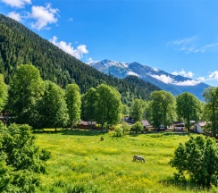 Комфортный номер в Чегет-home