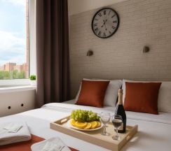 Комфорт мини в Metro apartments