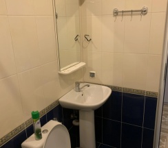 Двухместный номер Бюджетный (двуспальная кровать) в Аист