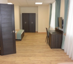 Стандартный  2-местный с гостиной (джуниор сюит) в Истра