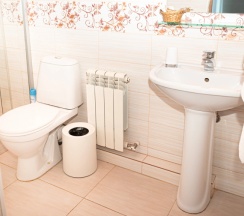 Двухместный номер Deluxe с видом на город двуспальная кровать в Сияние