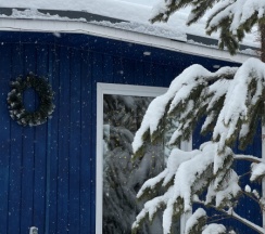 Бельгия в BamBoo Village