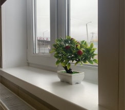 Улучшенный трехместный номер с 3 отдельными кроватями в Пол&Пути