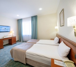 Deluxe Twin в Берёзка