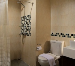 Одноместный номер Deluxe двуспальная кровать в Отель Grand Alpine