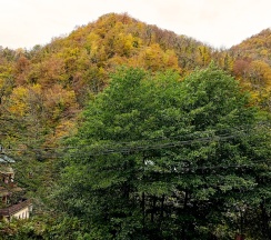 Апартамент со спальней ПРИМУЛА. Бассейн. Сауна. в Панорама Ачишхо