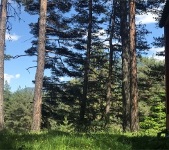 Шале 4. Четырёхместный номер комфорт с видом на горы в Белый волк