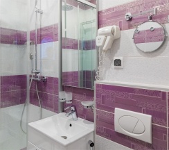 Двухместный номер категории" ПОЛУЛЮКС" в Тучков