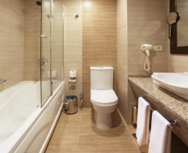 Одноместный номер Deluxe в Arya Hotel Business Deluxe