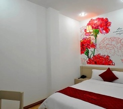 Двухместный номер Superior двуспальная кровать в The Carnation Hotel Da Nang