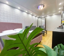 Однокомнатная квартира на Захарова в Rauktis apartments