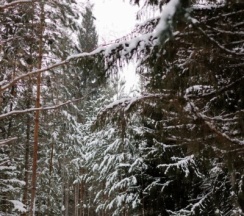 Бунгало №3 в Илеть