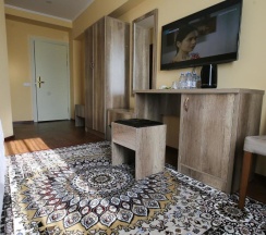Двухместный номер Standard двуспальная кровать в Altai Business Hotel