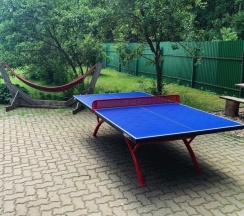 Коттедж с балконом и с красивым видом из окна в Филин дом