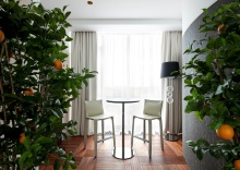 Royal Garden Suite в Crystal House Suite Hotel&SPA