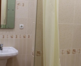 Номер комфорт с 1 двуспальной кроватью в Алтай