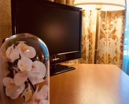 Комфорт двухместный с доп. местом в Звёздный