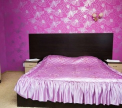 Двухместный номер Standard двуспальная кровать в Ника