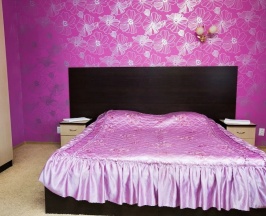 Двухместный номер Standard двуспальная кровать в Ника