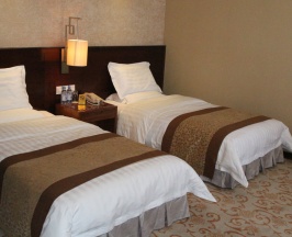 Двухместный номер Standard с красивым видом из окна 2 отдельные кровати в SoLuxe Hotel Almaty