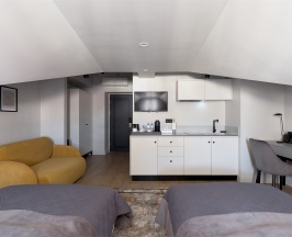 Стандарт мансардный с кухней в Boutique 59