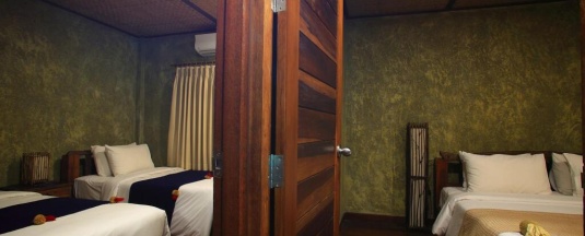 Двухместный люкс 2 отдельные кровати в Azalea Village Wellness Resort