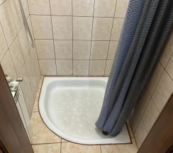 Трёхместный номер Эконом в Русь
