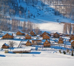 Царский Дом в Басаргино