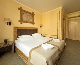 Стандарт в Hotel La Terrassa