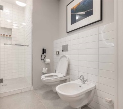 Супериор Нордик в Rodina Grand Hotel&SPA Irkutsk 5*