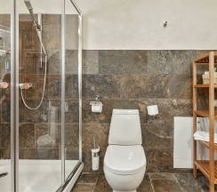 Делюкс Плюс  в коттедже в Cosmos Collection Altay Resort