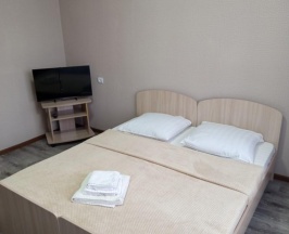 Номер полулюкс с 1 двуспальной кроватью в Славгород