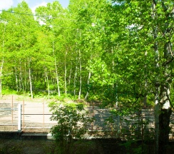 Апартаменты студио на 2м этаже  в Белый снег