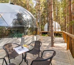 Купол «Карельский лес» в Aldi-Karelia