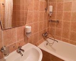 1-комнатный номер стандарт с 1 двуспальной кроватью в Все Бани мира
