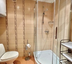 Одноместный номер (№106) в Владимирский дворик