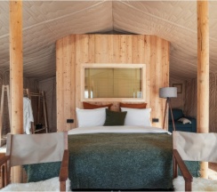 Сафари в Дзен