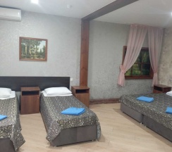 Люкс комфорт в Кедр