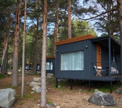 Коттедж с сауной в Taleo home